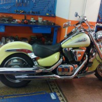 Harley Davidson_Motogi Roma