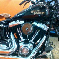 Harley Davidson_Motogi Roma